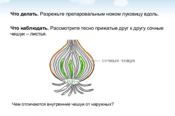 Ссылка на блэкспрут через тор 1blacksprut me