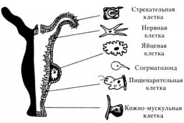 Блэкспрут ссылка blacksprut