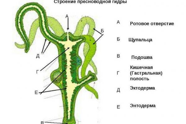 Блэкспрут площадка 1blacksprut me